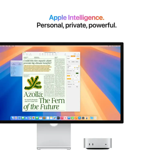 B0DLBV145M-3 Desktops Apple Mac mini con Chip M4 | 24GB | GPU 10 núcleos
