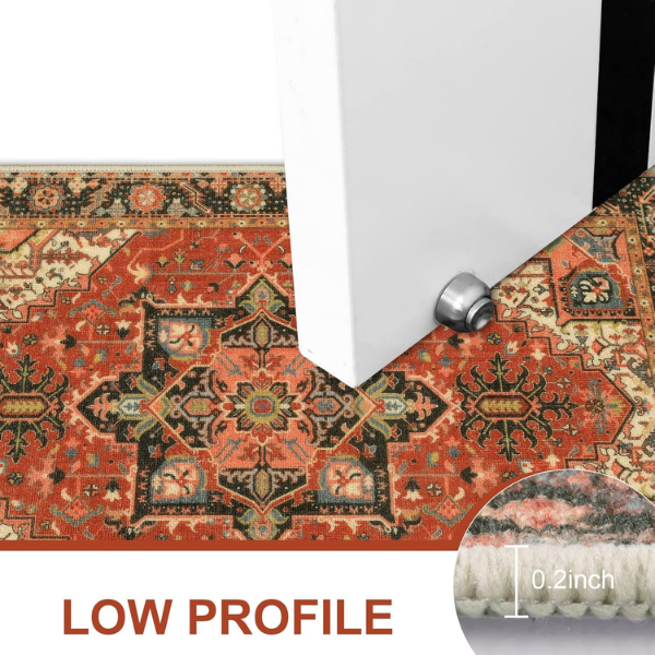 B0BKKLPV97-50 Alfombra Collive para interiores de 20 x 32