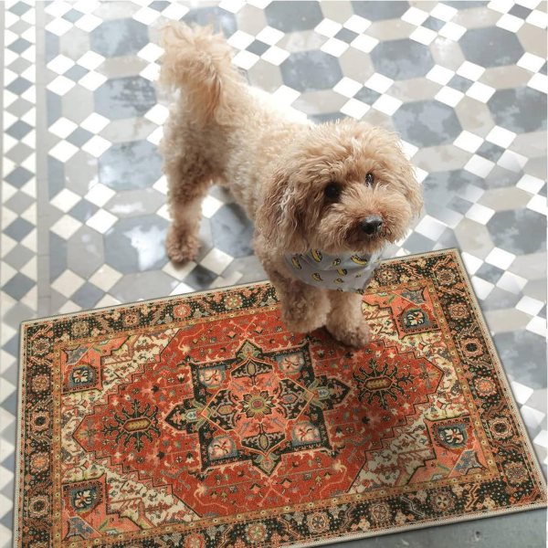 B0BKKLPV97-53 Alfombra Collive para interiores de 20 x 32
