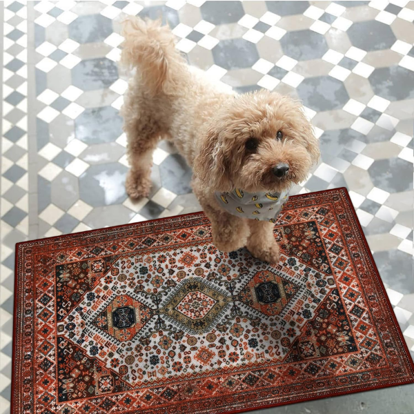B0BKKW4GWV-75 Alfombra Collive para interiores de 20 x 32