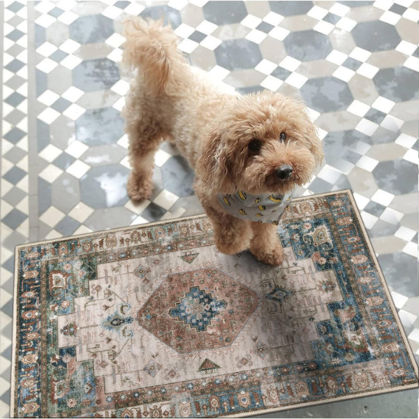 B0BKKW5WDL-7 Alfombra Collive para interiores de 20 x 32