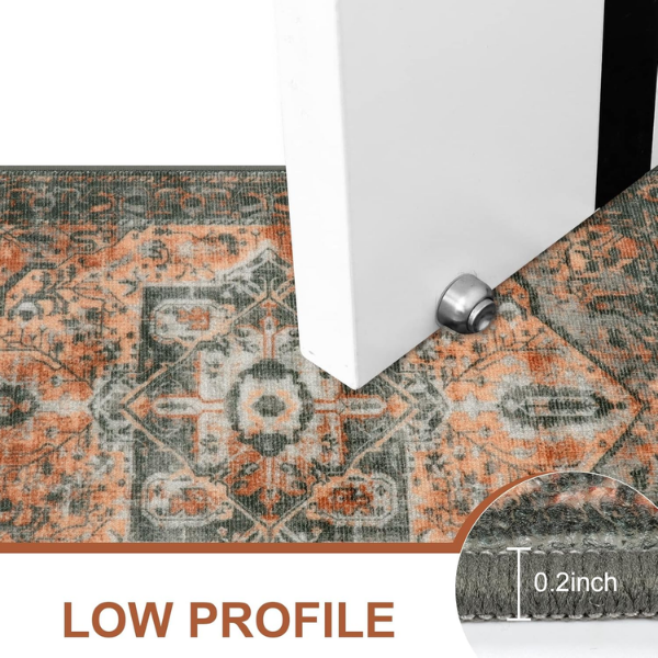 B0C5D2XR4Z-66 Alfombra Collive para interiores de 20 x 32