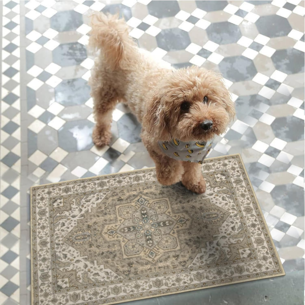 B0CSD62F4M-86 Alfombra Collive para interiores de 20 x 32