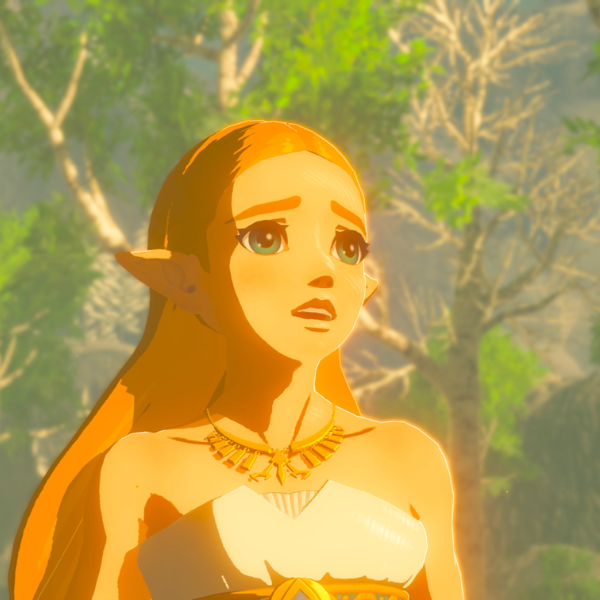 1010714-2 The Legend Of Zelda Breath Of The Wild