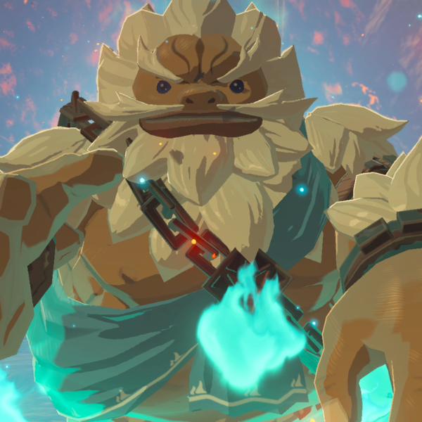1010714-5 The Legend Of Zelda Breath Of The Wild
