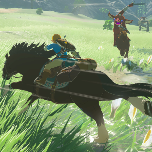 1010714-8 The Legend Of Zelda Breath Of The Wild