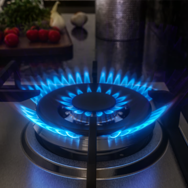 FG00126 (3) Plantilla de gas Frigidaire 24" 4 quemadores FTGY24R0EMS